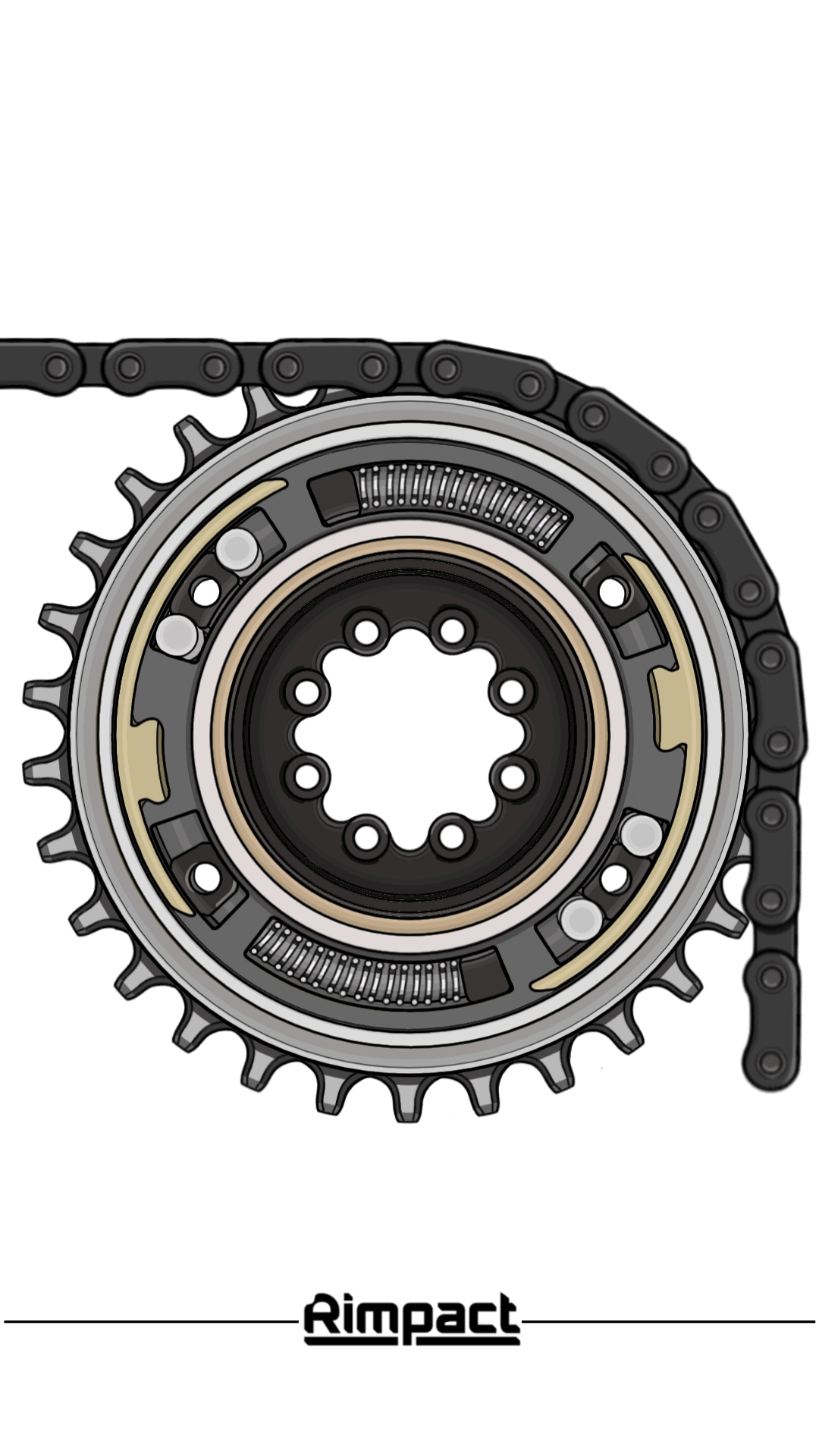 2D Animation Compressed (1)